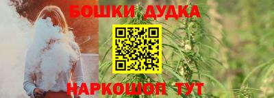 прущие грибы Абакан