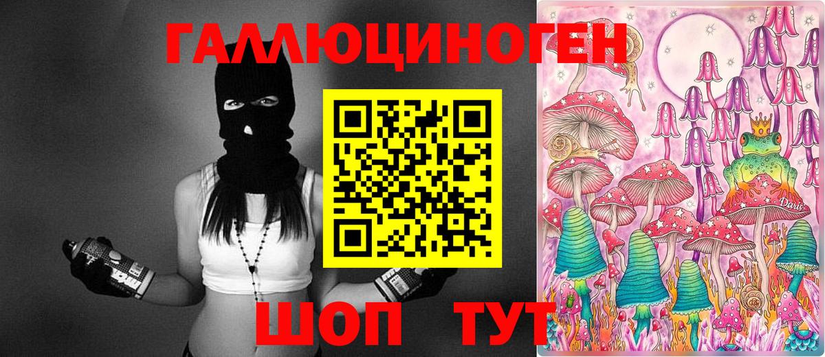 Псилоцибиновые грибы GOLDEN TEACHER  Рыбинск  Псилоцибиновые грибы прущие грибы 