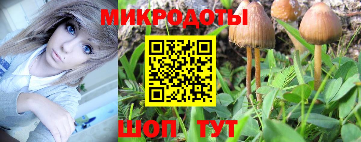Рыбинск  Псилоцибиновые грибы ЛСД  Вход с VPN 