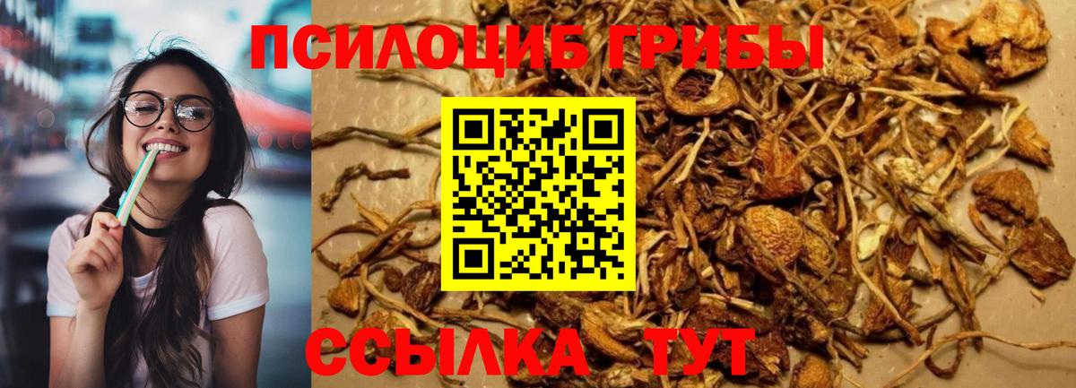 Псилоцибиновые грибы мухоморы Рыбинск